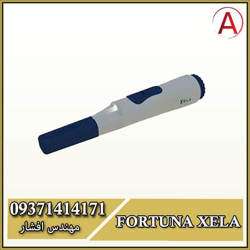 فلزیاب Fortuna Xela